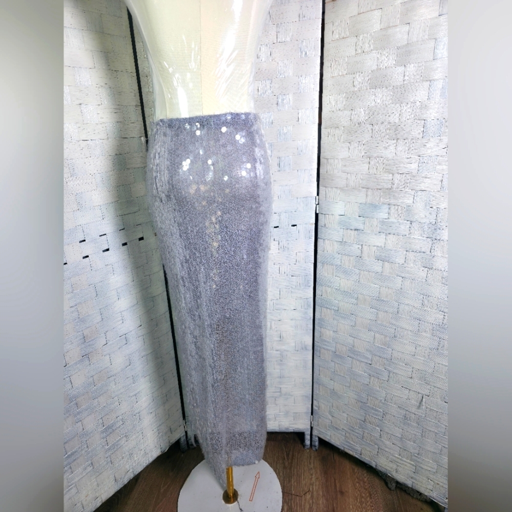 Zara Silver Maxi Skirt
